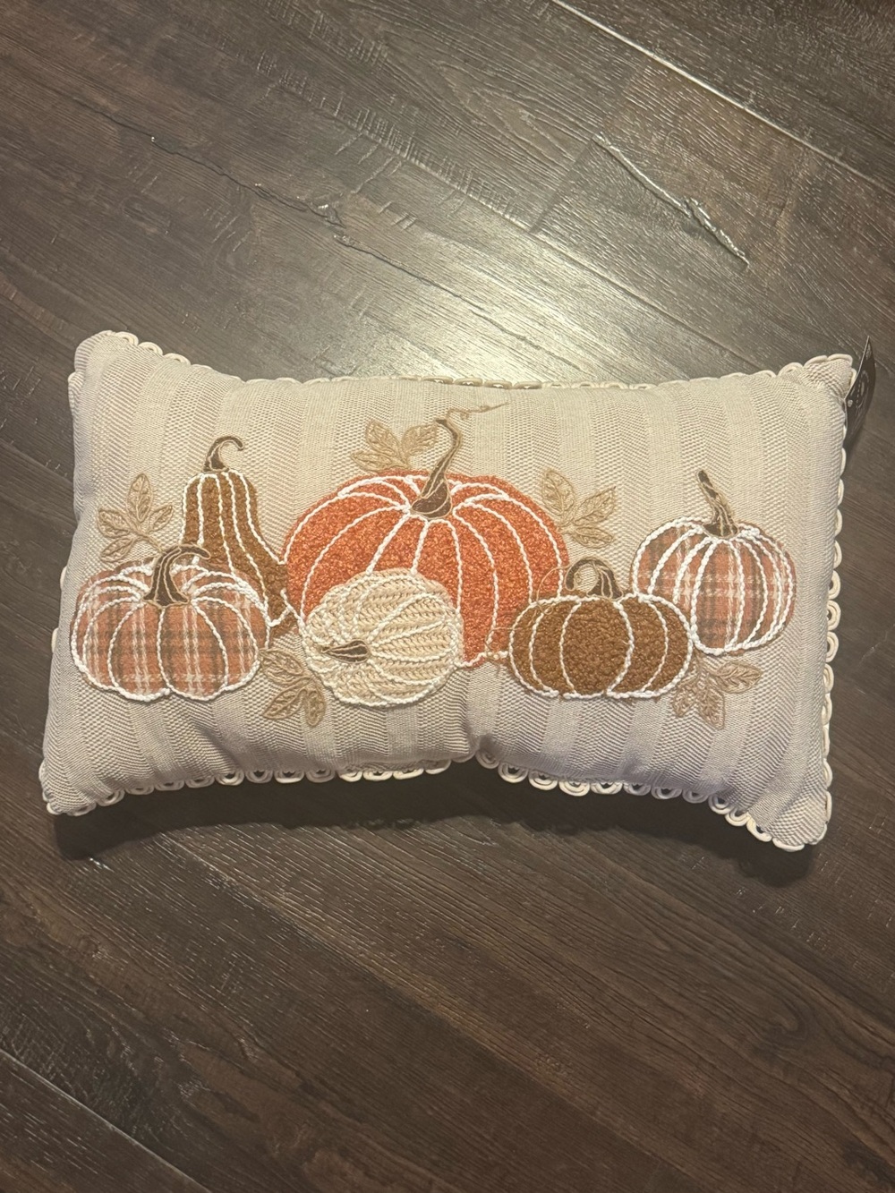 Autumn Pumpkin Embroidered Throw Pillow - Beige and Orange